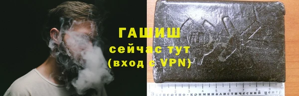 спиды Горняк