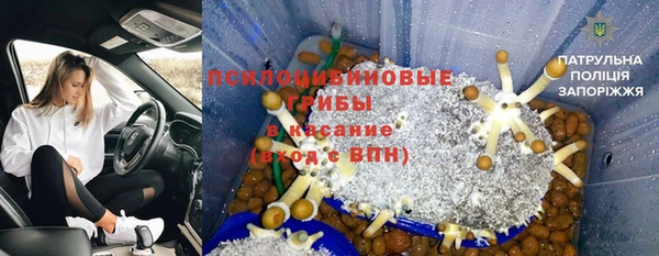 меф Гусь-Хрустальный