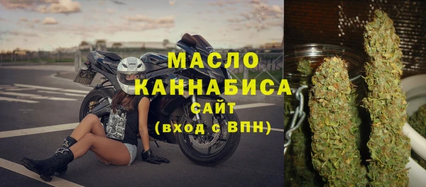 спиды Горняк