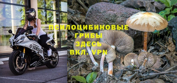бутират Гусиноозёрск
