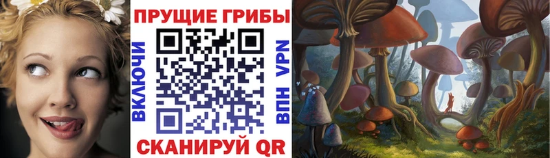 Купить  Невьянск  Галлюциногенные грибы мицелий 