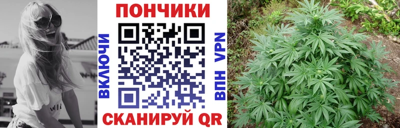 Купить закладки Невьянск Канабис планчик